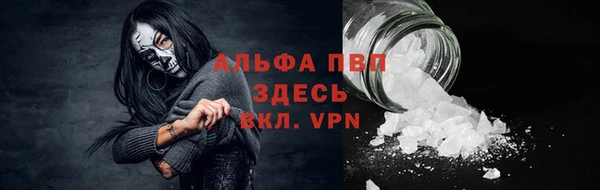 гидра Алексин