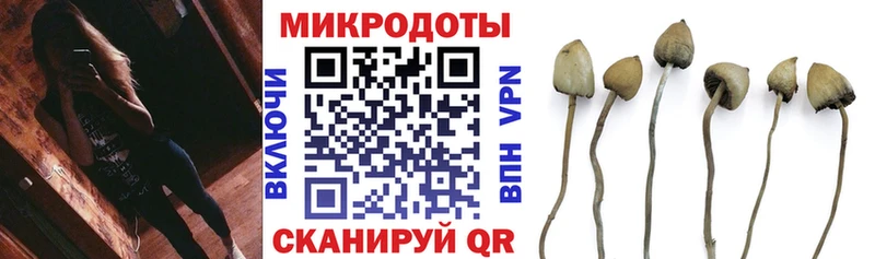 Псилоцибиновые грибы Psilocybe Мегион